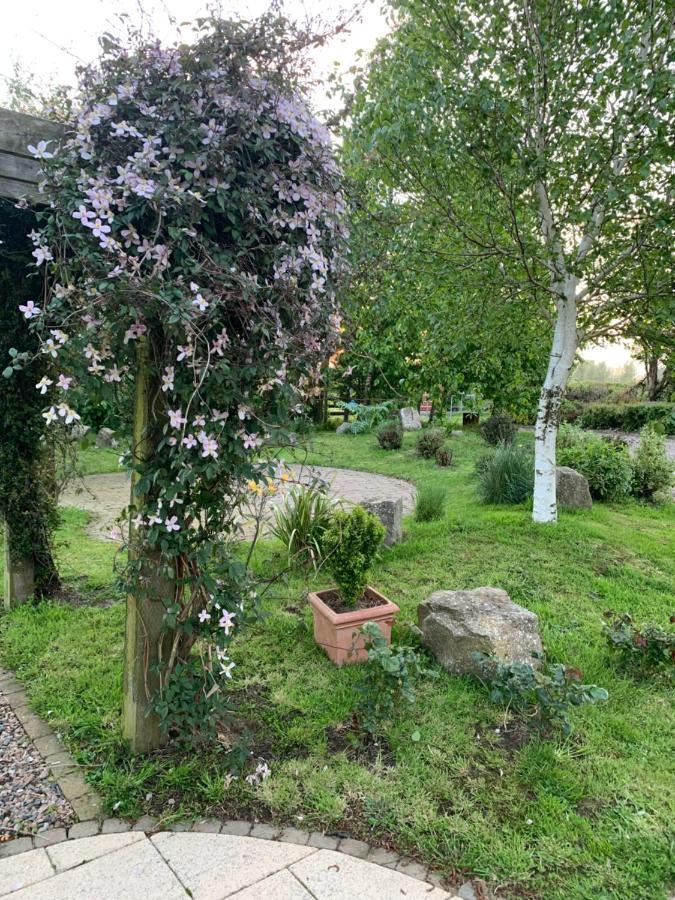 Windyridge Bed and Breakfast Aghagallon Exteriör bild